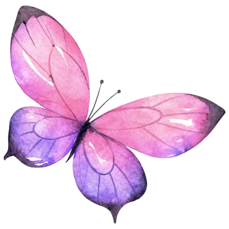 ontwerp (2)